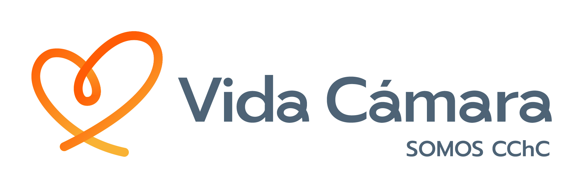 Vida Cámara